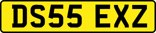 DS55EXZ