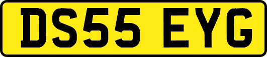 DS55EYG