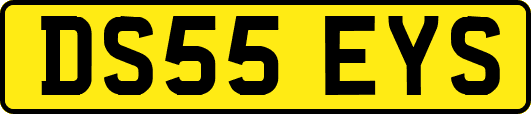 DS55EYS