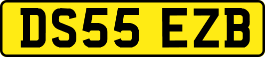 DS55EZB