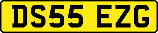 DS55EZG