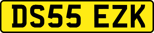 DS55EZK