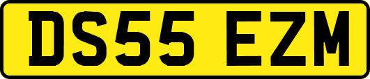 DS55EZM