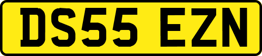 DS55EZN