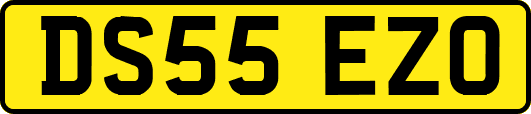 DS55EZO
