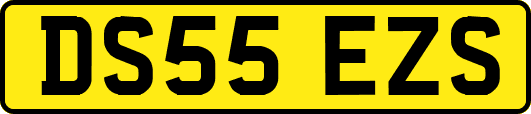 DS55EZS