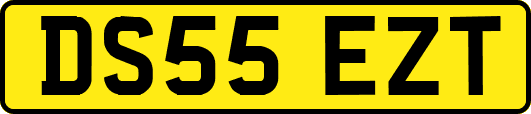 DS55EZT