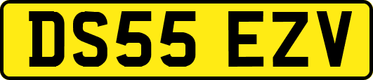 DS55EZV