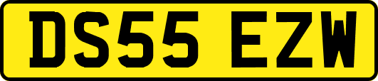 DS55EZW