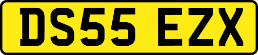 DS55EZX