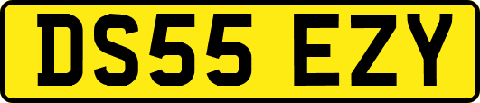 DS55EZY