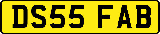 DS55FAB