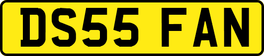 DS55FAN