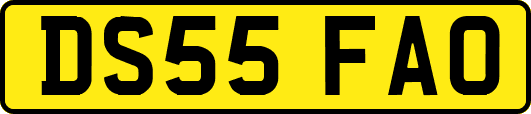DS55FAO