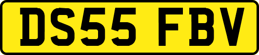 DS55FBV