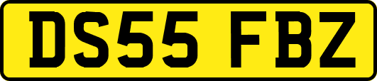DS55FBZ
