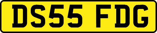 DS55FDG