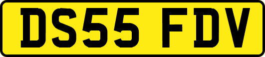 DS55FDV