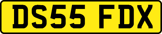 DS55FDX