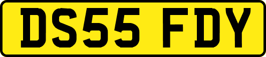 DS55FDY