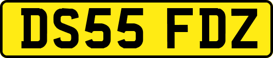DS55FDZ
