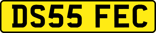 DS55FEC