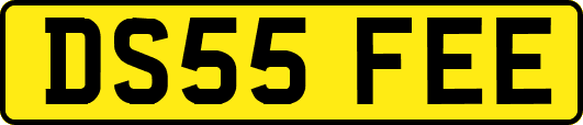 DS55FEE