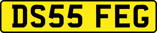 DS55FEG