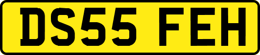 DS55FEH