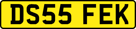 DS55FEK