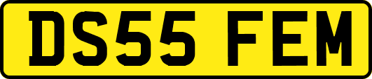 DS55FEM