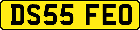 DS55FEO