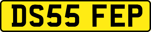 DS55FEP