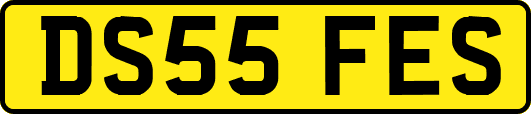DS55FES