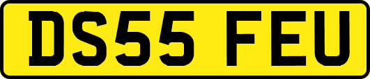 DS55FEU