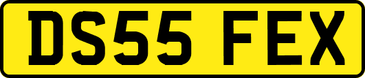 DS55FEX