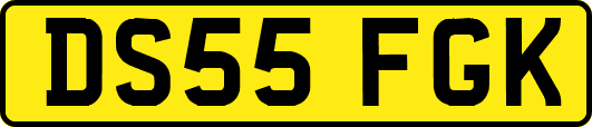 DS55FGK