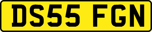 DS55FGN