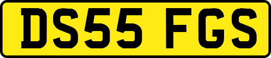 DS55FGS