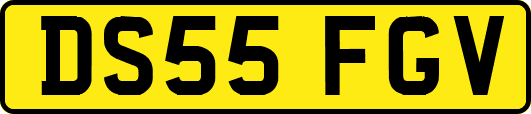 DS55FGV