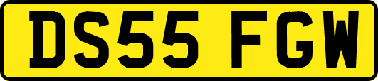 DS55FGW