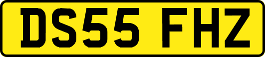 DS55FHZ