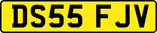 DS55FJV