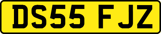 DS55FJZ