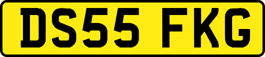 DS55FKG