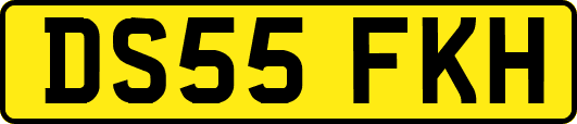 DS55FKH