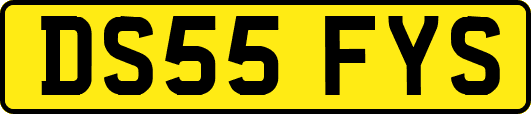 DS55FYS