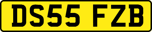 DS55FZB