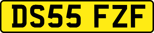 DS55FZF