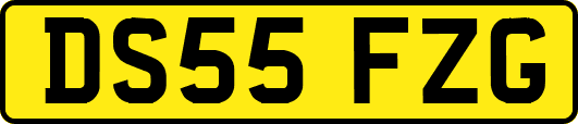 DS55FZG